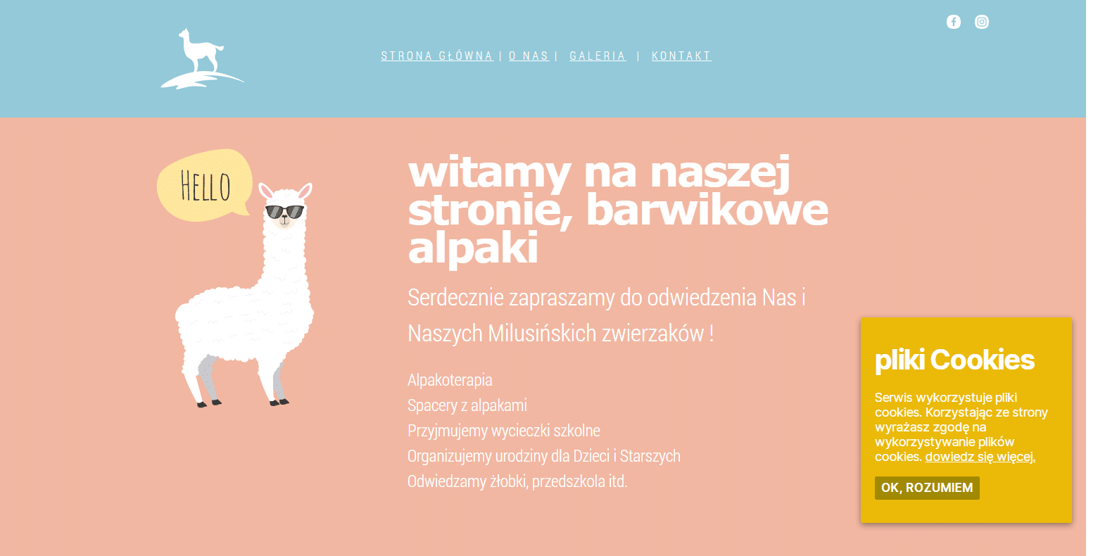 You are currently viewing Strona internetowa – barwikowealpaki